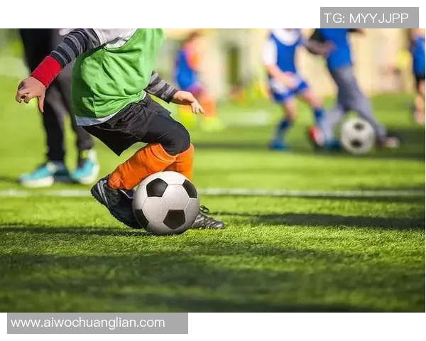 探索中国体育文化教育网官网助力青少年全面发展新路径